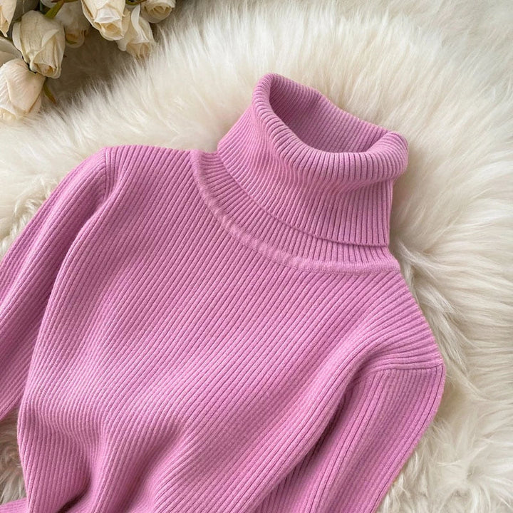 Women’s Ribbed Knit Turtleneck Dress | Maxi
