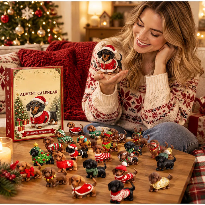 Décorations de calendrier de l’Avent pour chien teckel | Noël
