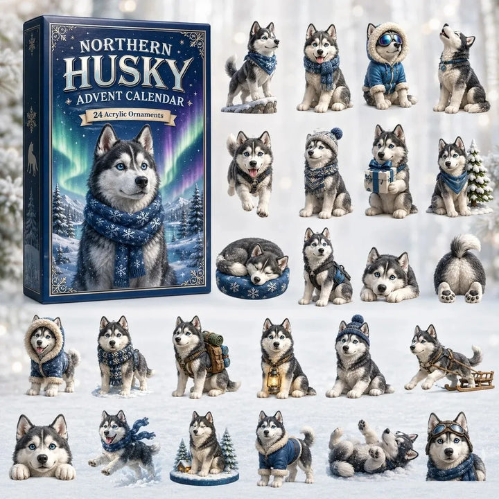 Calendrier de l’Avent husky pour chien, 24 jours | Noël