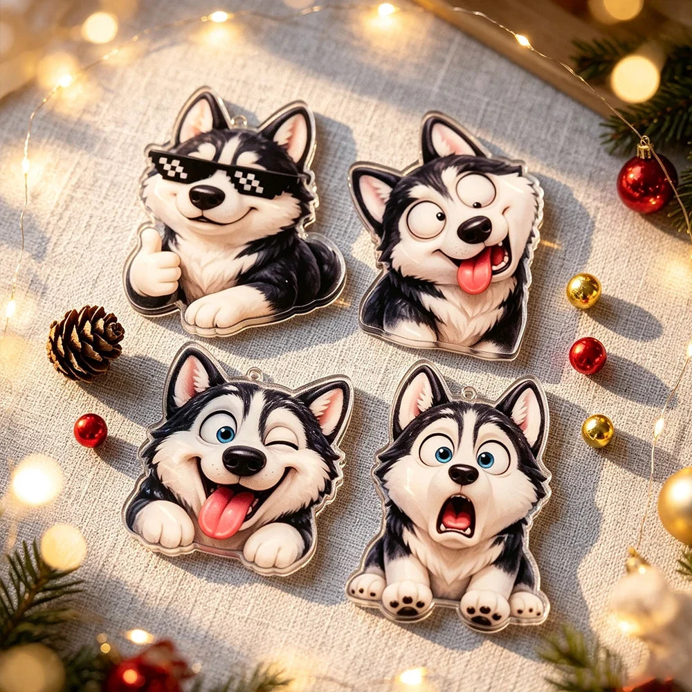 Calendrier de l’Avent husky pour chien, 24 jours | Noël