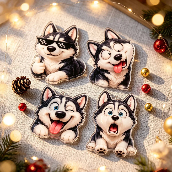 Calendrier de l’Avent husky pour chien, 24 jours | Noël