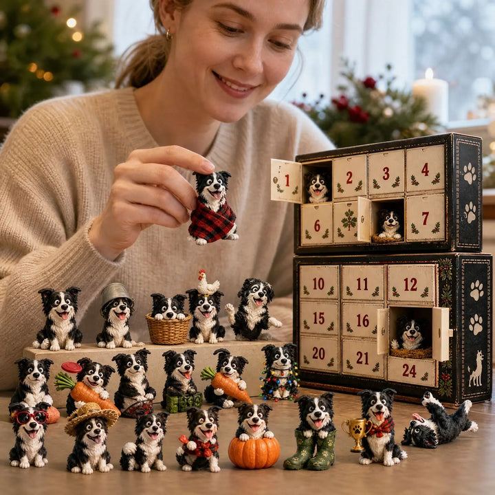 Calendrier de l’Avent de Noël pour chien colley | 24 jours