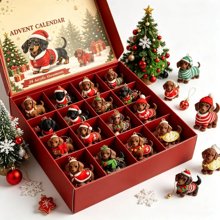 Décorations de calendrier de l’Avent pour chien teckel | Noël
