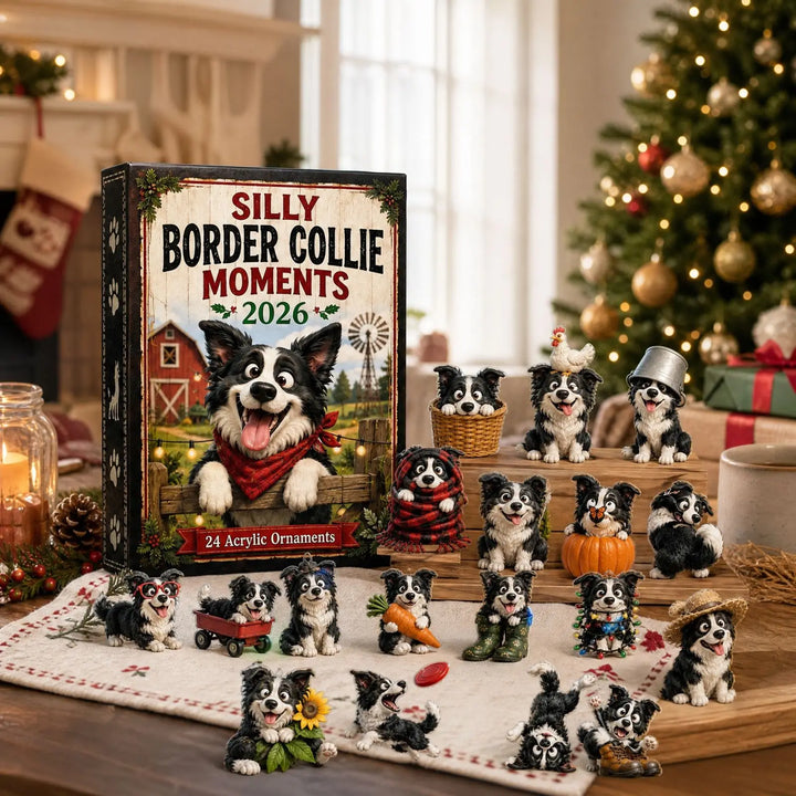 Calendrier de l’Avent de Noël pour chien colley | 24 jours