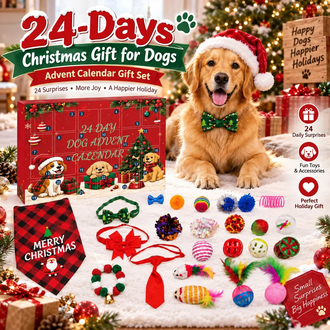 Calendrier de l’Avent avec jouets pour chien, 24 jours | Noël