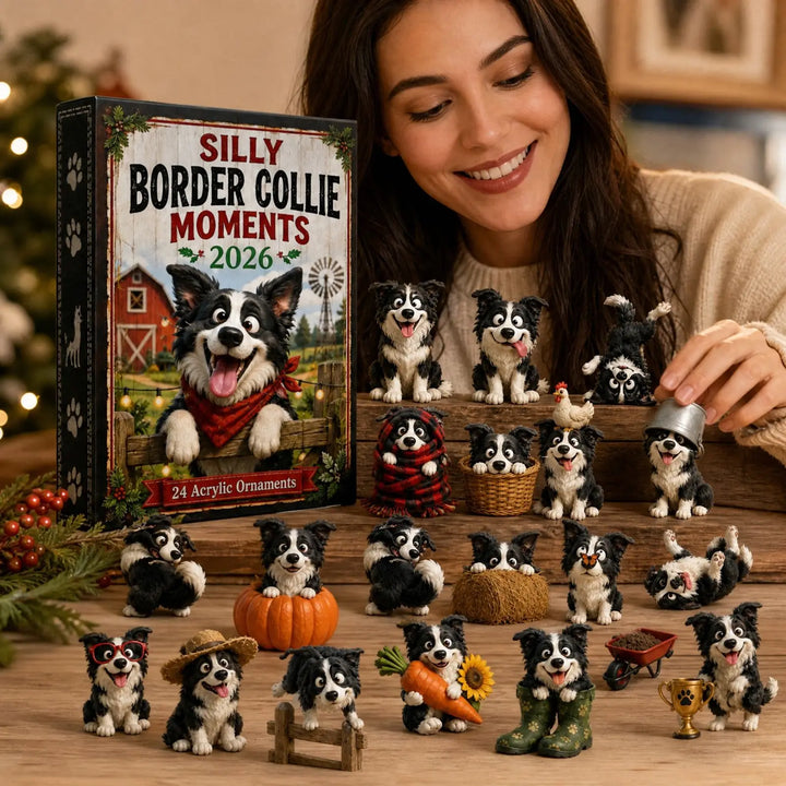Calendrier de l’Avent de Noël pour chien colley | 24 jours