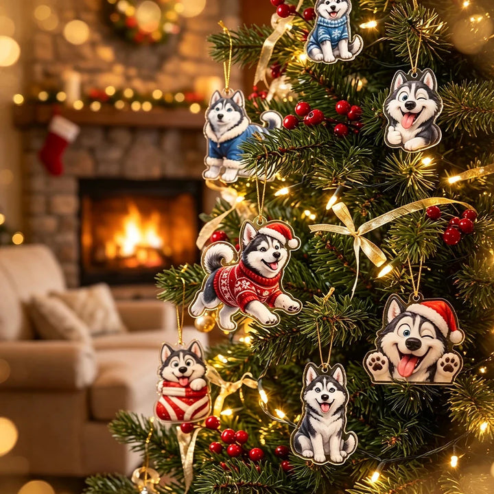 Calendrier de l’Avent husky pour chien, 24 jours | Noël
